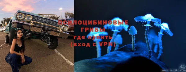 шишки Алзамай