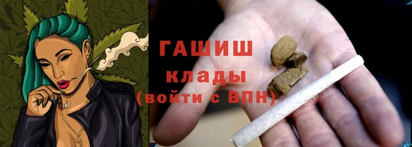шишки Алзамай
