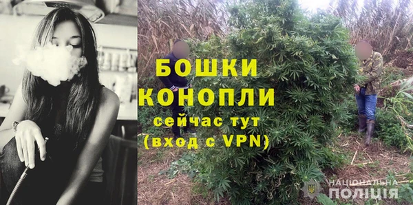 PSILOCYBIN Алексеевка