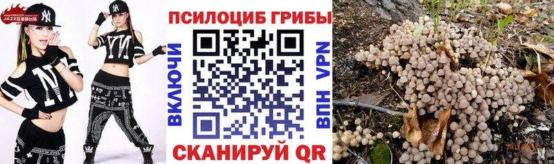 Псилоцибиновые грибы Psilocybe  наркотики  Артёмовск 